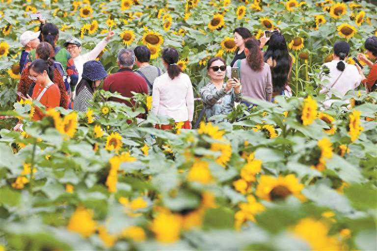 中东部再迎雨雪 冷空气23日抵深 市气象台提醒：届时全市最低气温将降至14℃左右 需注意防寒保暖