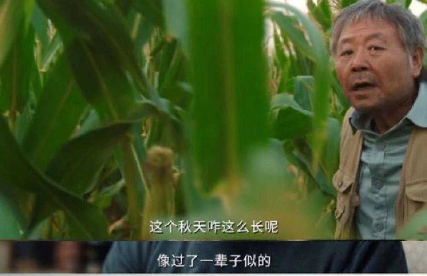 《漫长的季节》，究竟是什么季节？