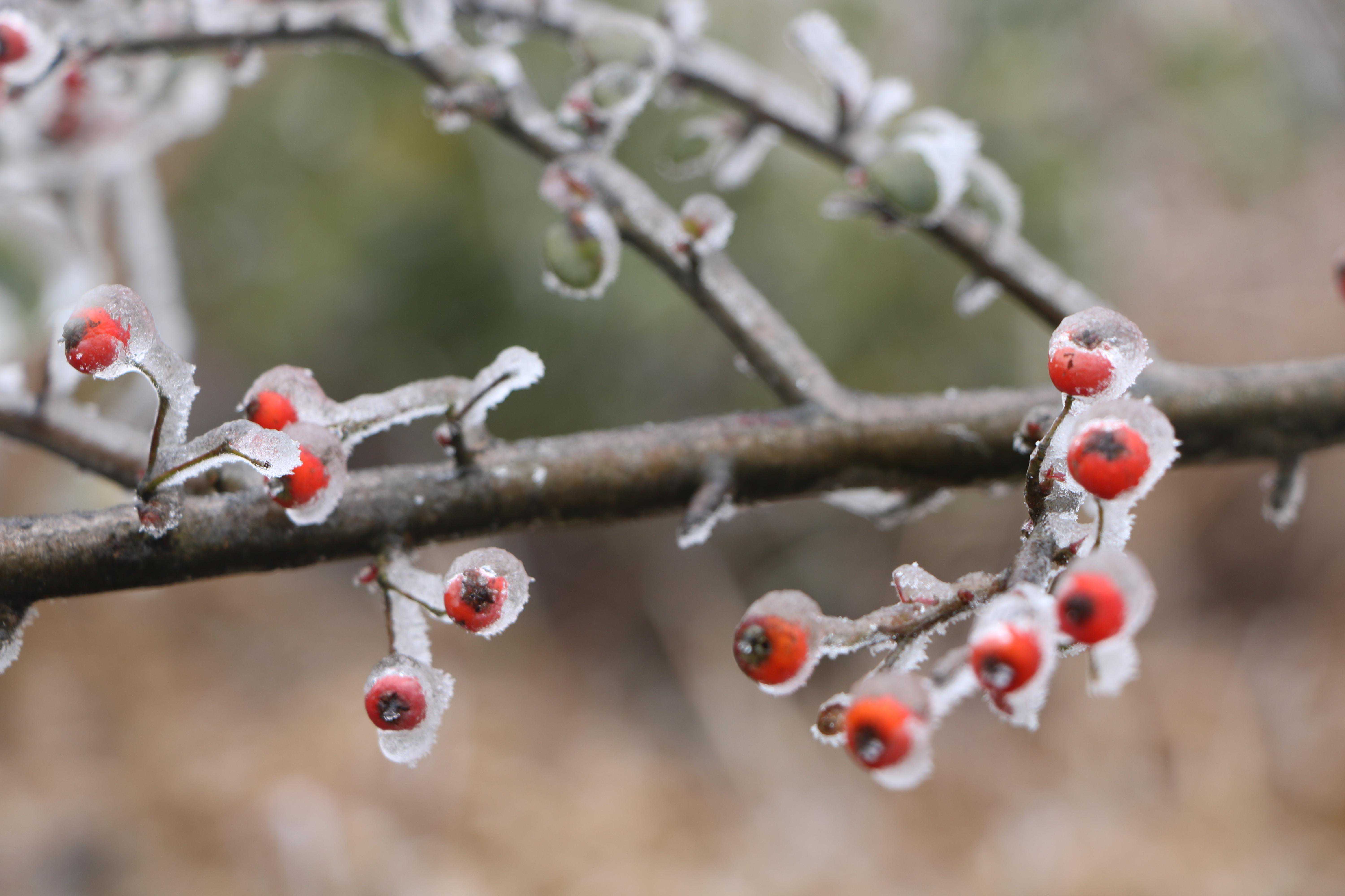 韶关要下雪了吗？下半年最强冷空气明日夜间到货