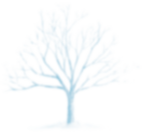 龙虎山要下雪？盼雪而来！22号有望迎来2024年初雪！