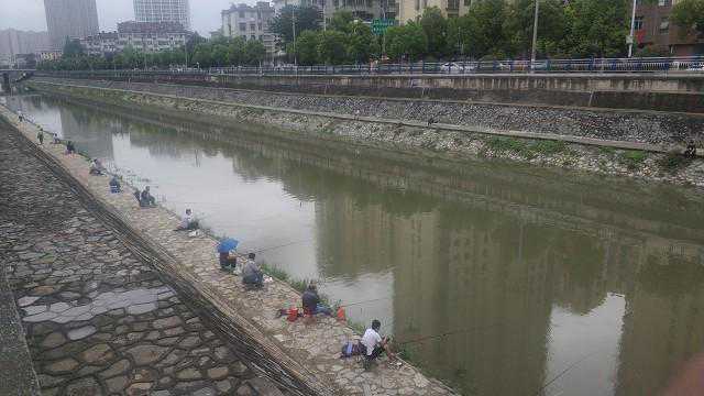 今天的夜钓真的衰，建议出现文中情况就不要夜钓了