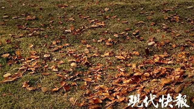 温差10℃+！“一天两季”感明显！