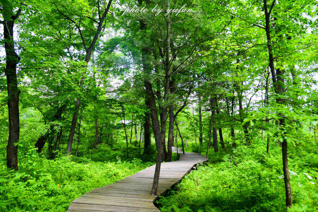 霸州：2023年第一次突破.......