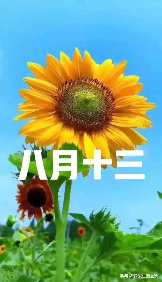 2021下半年雨水多吗？村里老人说：八月十三早知道！能预测旱涝