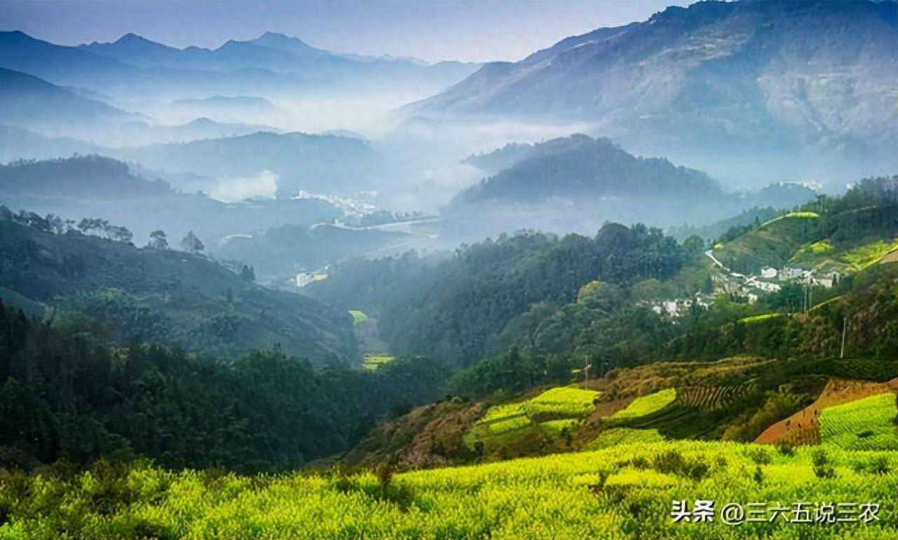 “不怕清明晴，就怕清明淋”，今日4月5号，有啥说法？看农谚咋说