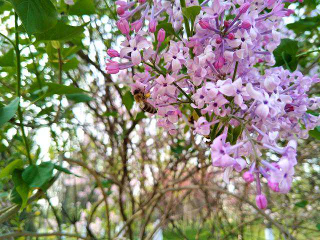 后日9号寒潮大降温，新一轮冷空气雨雪来袭，清明之后还冷吗？