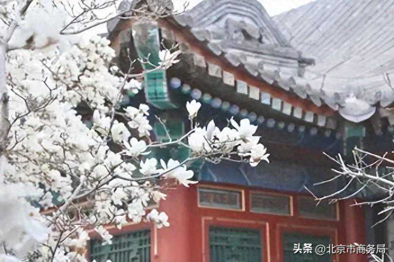 清明活动 | 忆先烈、寻传统、爱自然