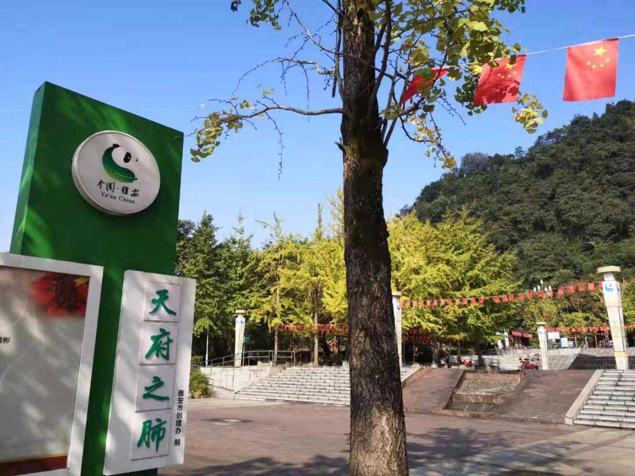 全国第三！全省第一！雅安空气质量再登全国榜单