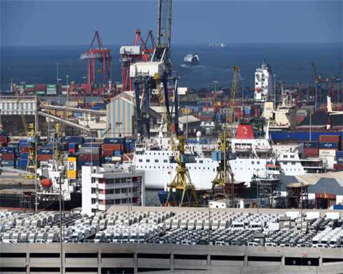 长寿花的叶子“软塌塌”，教你3招，让叶片硬如铁！