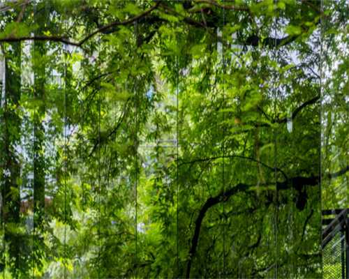 雨要来了！北京未来三天气温将明显下降，注意添衣保暖