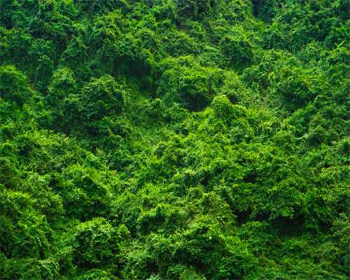 强降水+大降温！马上到洛阳！最新天气预报