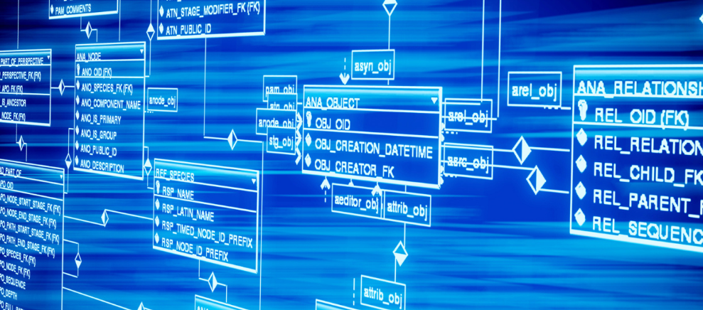 大雾天爬龙脊，结果非常可惜，因为大雾天真，什么都看不到