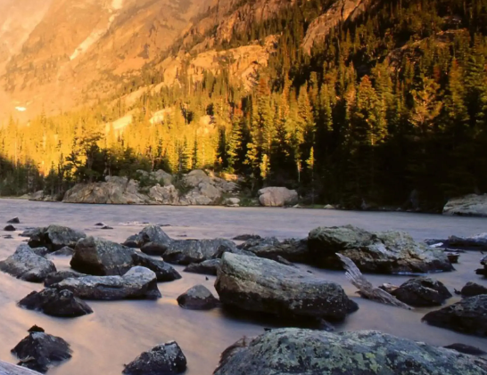 秋种开始！这些选种子技巧，直接关系到你的收益